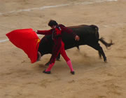 Corrida de toros