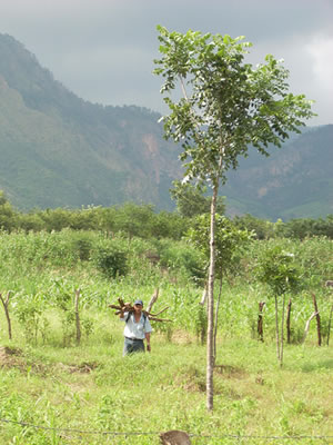 naturaleza Honduras