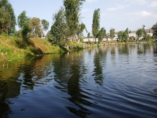 Vista de un canal en Xochimilco