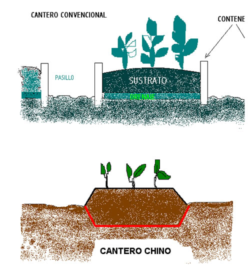 organopónico con contenes de concreto