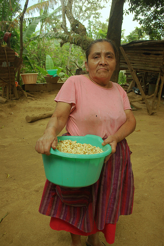 Mujer que trabaja en el campo