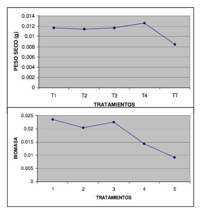 Tabla de indicadores de masa